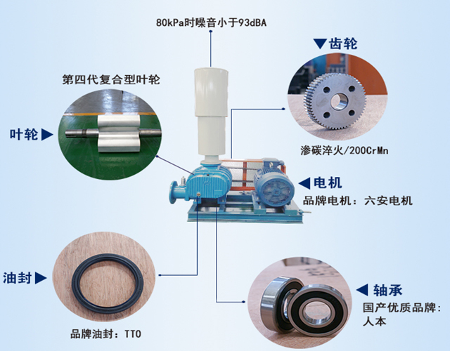 羅茨鼓風(fēng)機(jī)結(jié)構(gòu)說(shuō)明展示