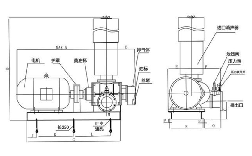 FSR普通羅茨鼓風(fēng)機(jī)結(jié)構(gòu)圖（直聯(lián)傳動）